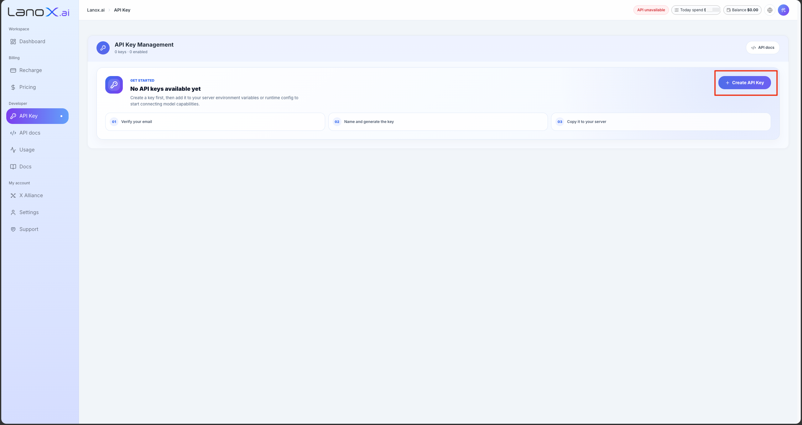 LanoX English empty API Key page screenshot